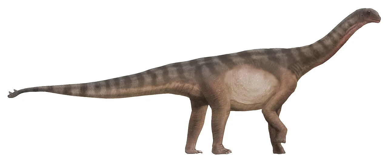 Full-body side-view life reconstruction of Shunosaurus lii