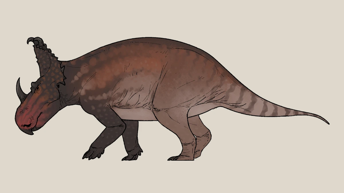 Side-view life reconstruction of Sinoceratops zhuchengensis