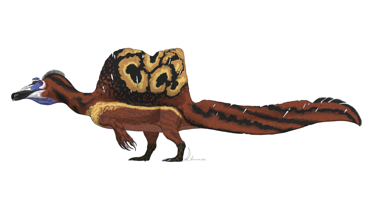 Side-view life reconstruction of Spinosaurus aegyptiacus