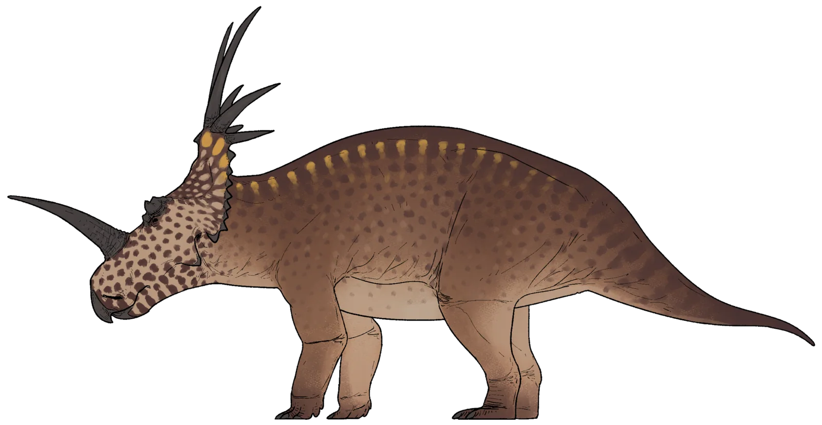 Side-view life reconstruction of Styracosaurus albertensis
