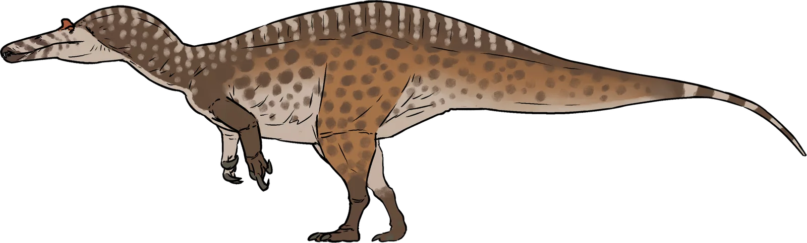 Full-body life reconstruction of Suchomimus tenerensis