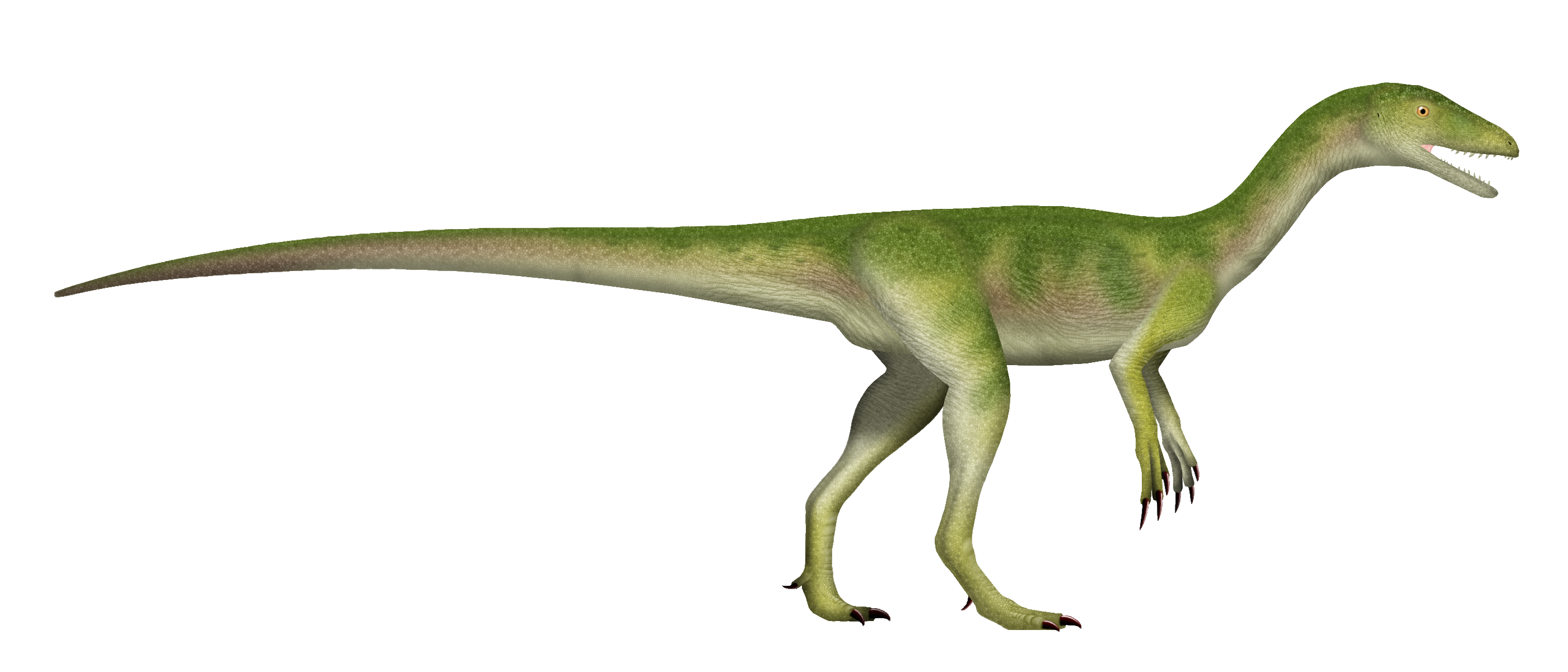 Side-view life reconstruction of Tawa hallae