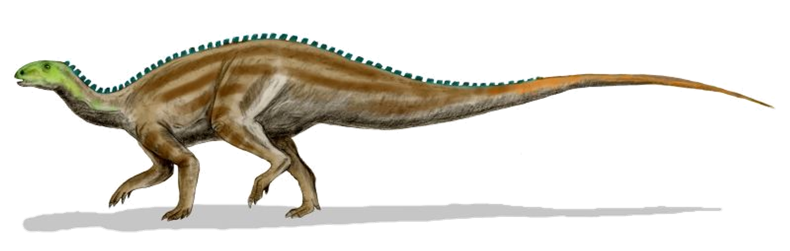 Side-view life reconstruction of Tenontosaurus tilletti