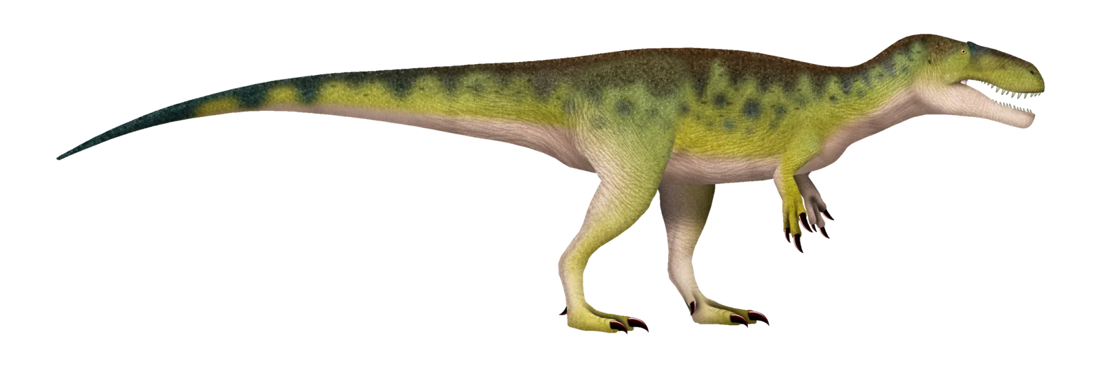 Full-body side-view life reconstruction of Torvosaurus tanneri