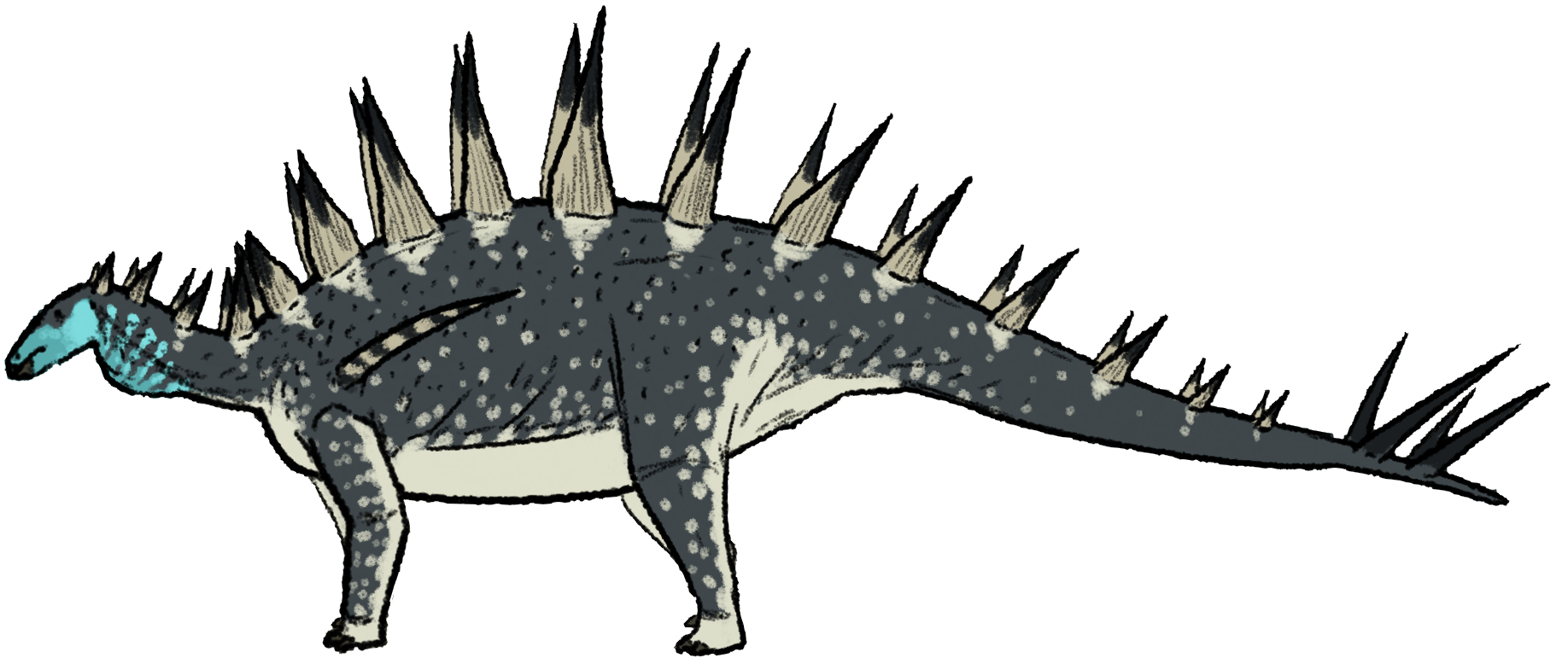 Side-view life reconstruction of Tuojiangosaurus multispinus