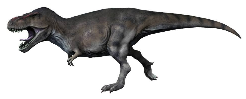 Side-view life reconstruction of Tyrannosaurus rex by Nobu Tamura