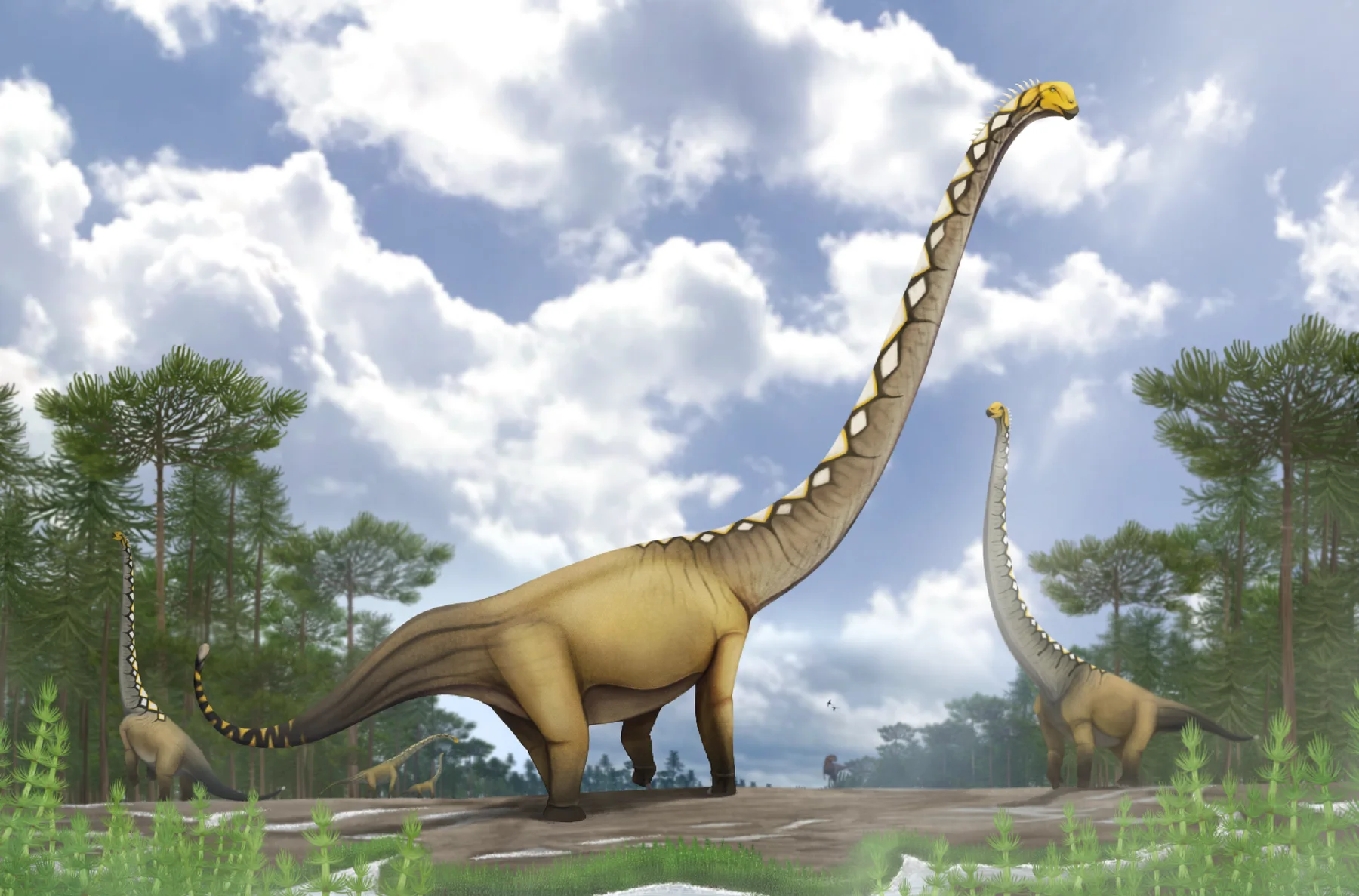 Speculative life reconstruction of a group of Uragasaurus kalasinensis