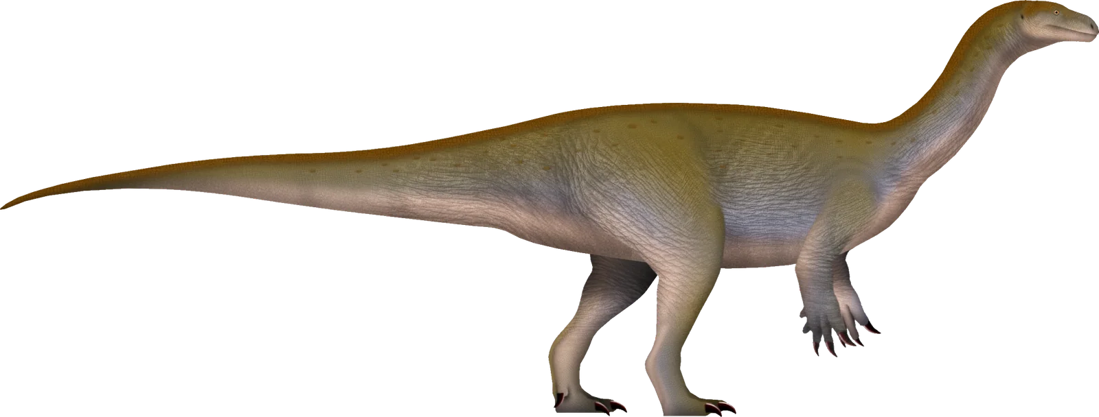 Full-body life reconstruction of Xiangyunloong fengming