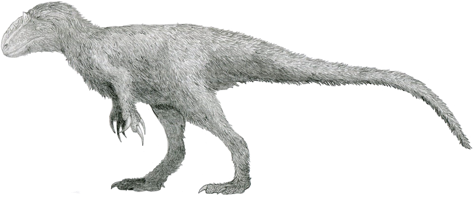 Side-view reconstruction of a fully feathered Yutyrannus huali
